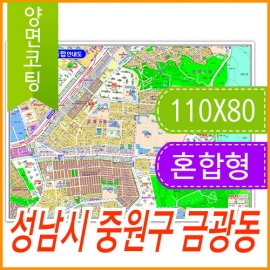 성남시 중원구 금광동 주소지도 (지번, 도로명주소 병행표기) 코팅