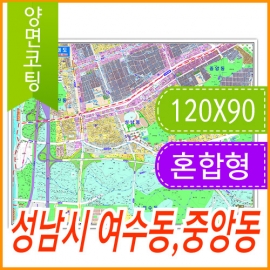 성남시 여수동 중앙동 주소지도 (지번, 도로명주소 병행표기) 코팅 (120x90cm)